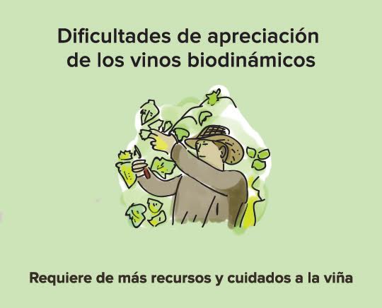 vinos biodinamicos