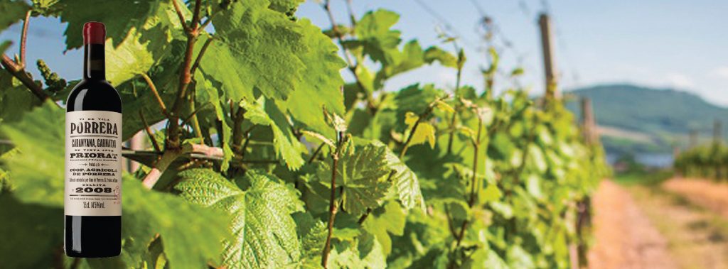 cims de porrera vi de vila priorat vinos baratos