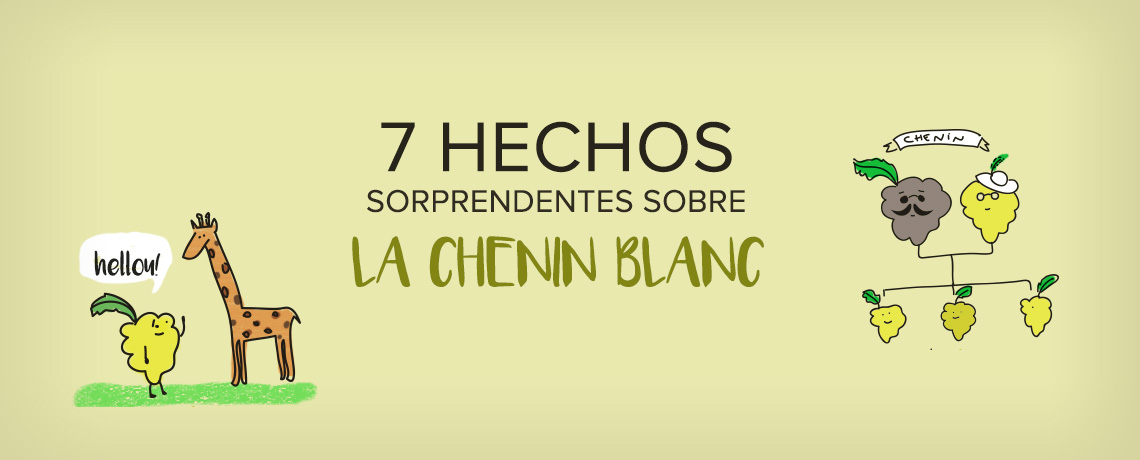 chenin blanc variedad de uva blog