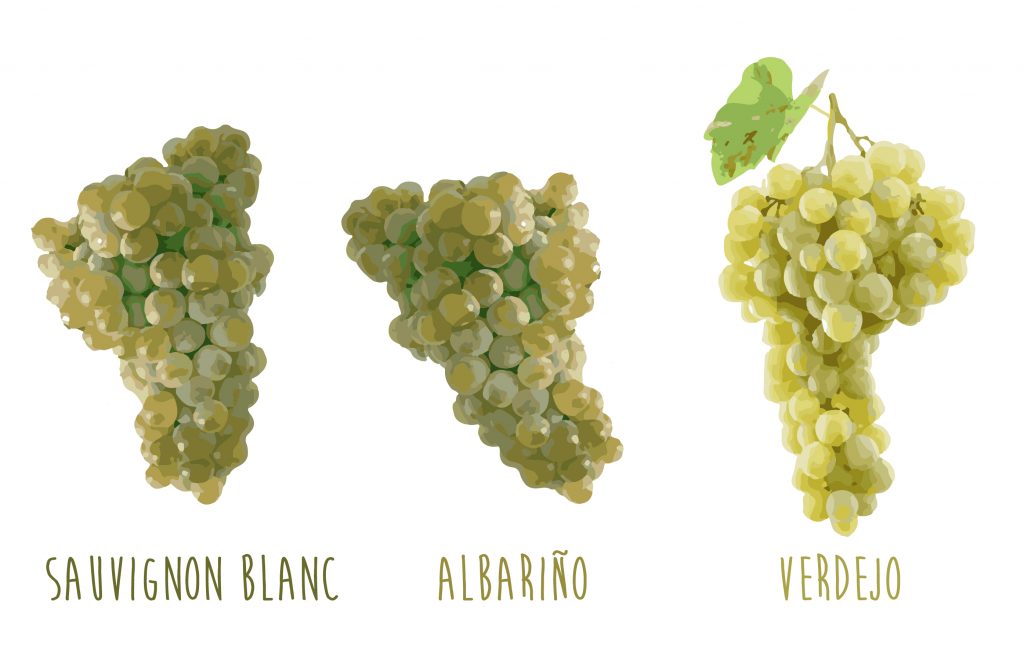 uvas similares verdejo