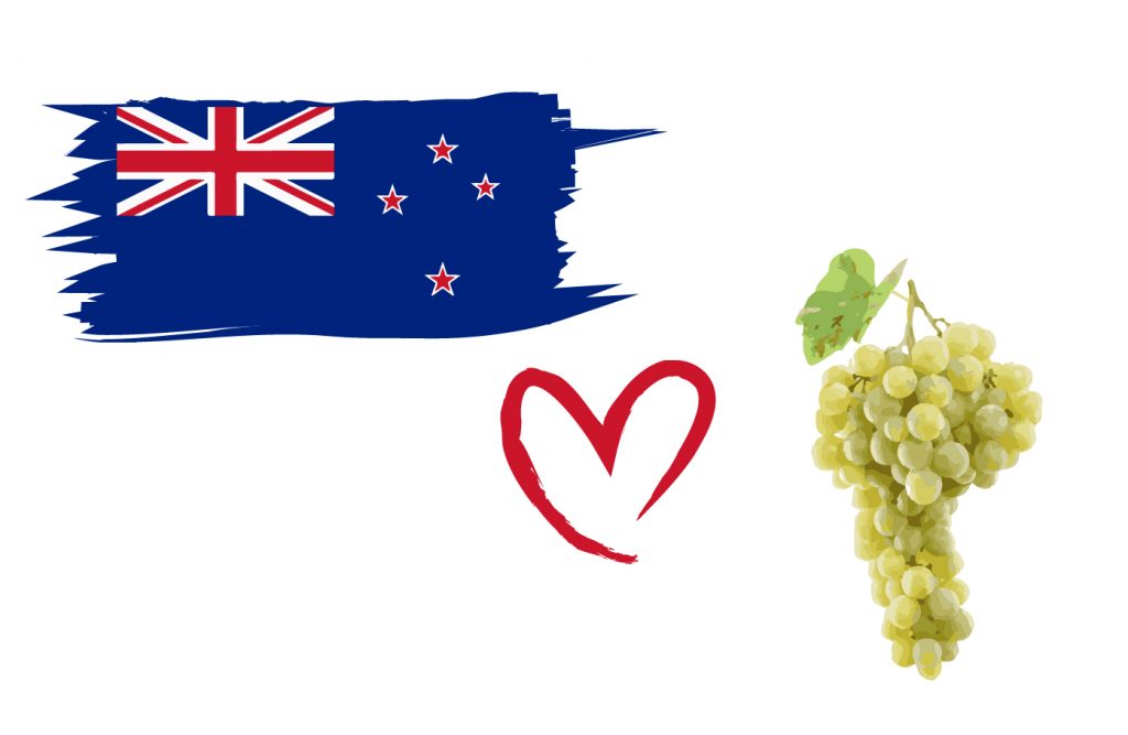 sauvignon blanc nueva zelanda