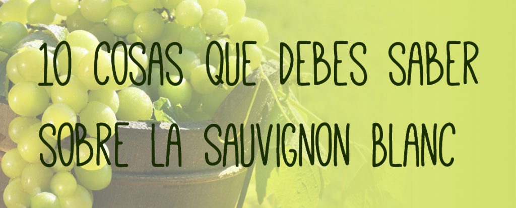 sauvignon blanc rueda