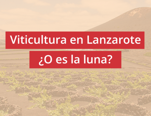 Road Trip en Lanzarote, viticultura entre volcanes