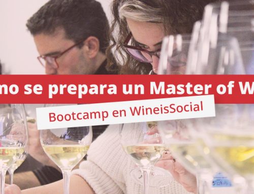 ¿Cómo se prepara un Master of Wine?