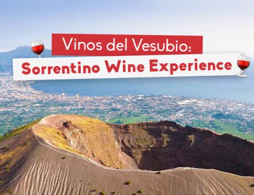 Vinos del Vesubio: Sorrentino Wine Experience
