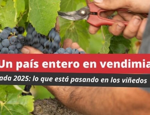 Un país entero en vendimia