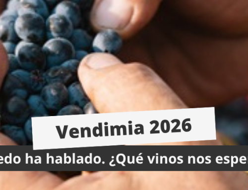 Vendimia 2026: el viñedo ha hablado
